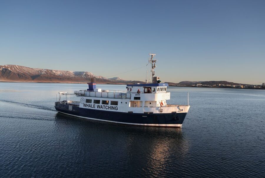 From Reykjavik: New Years Fireworks by Boat - Boarding the Arctic Rose at 10:30 PM