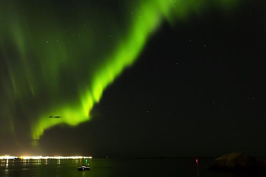 From Reykjavik: New Years Fireworks by Boat - Practical advice for a smoother evening