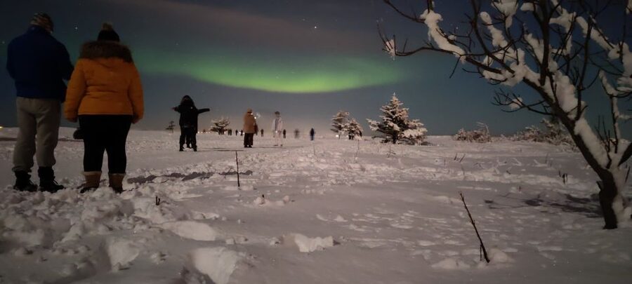 From Reykjavik: Northern Lights Chase with Expert Guide - Northern Lights Chase From Reykjavik: Key Points