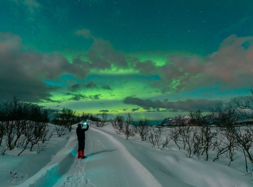 From Reykjavik: Northern Lights Chase with Expert Guide - Price, Value, and the Free Retry