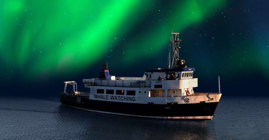 From Reykjavik: Northern Lights Sightseeing Cruise - Leaving Reykjavik’s Old Harbour after dark