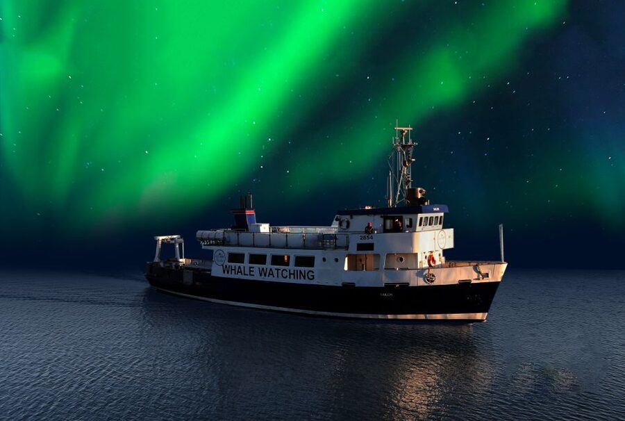 From Reykjavik: Northern Lights Sightseeing Cruise - The first half hour: city lights fading behind you