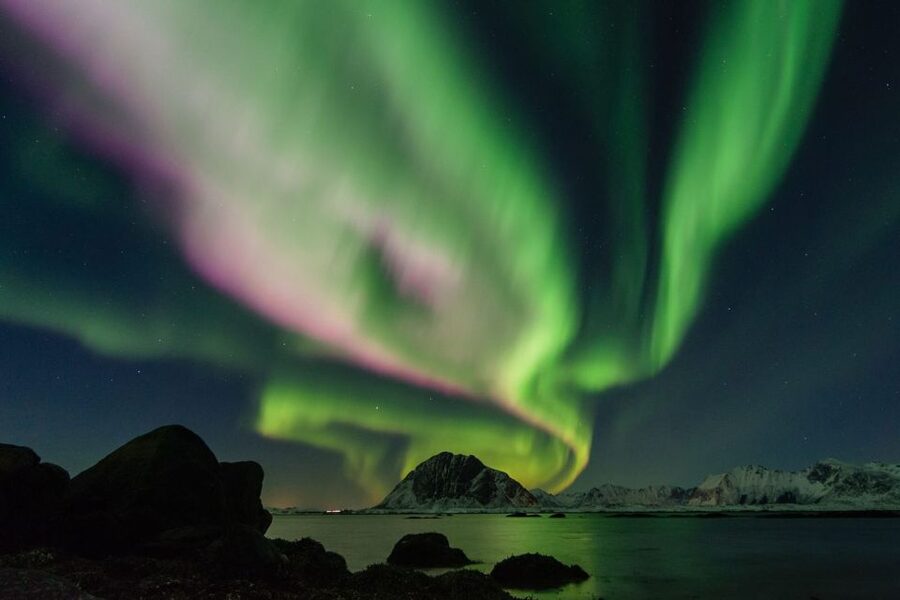 From Reykjavik: Northern Lights Sightseeing Cruise - What happens if the lights never appear