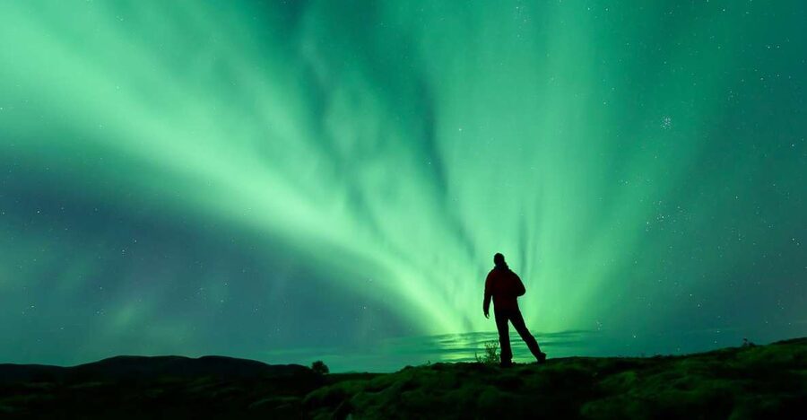 From Reykjavik: Northern Lights Tour - Waiting for the Northern Lights