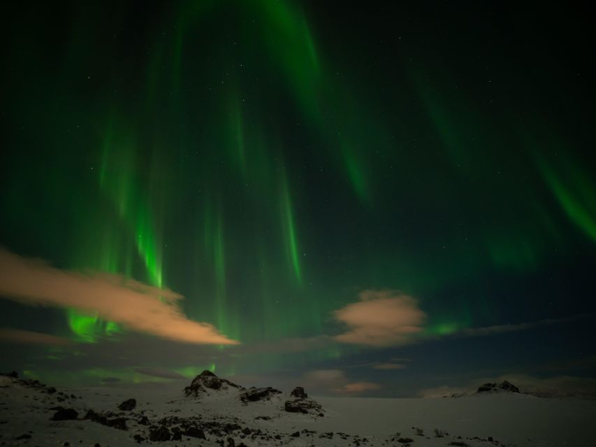 From Reykjavik: Northern Lights Tour with Hot Cocoa & Photos - The guides make a real difference
