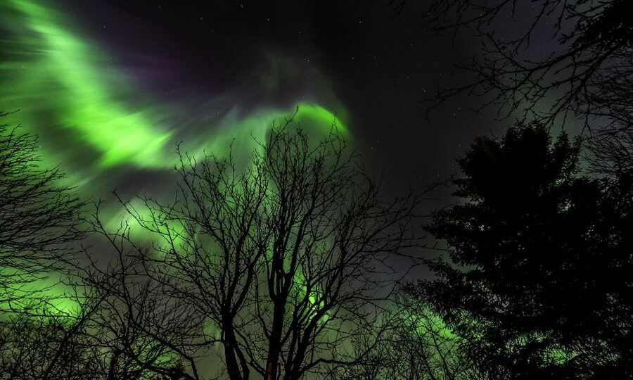 From Reykjavik: Northern Lights Tour with Lifetime Guarantee - What happens during the three-hour outing