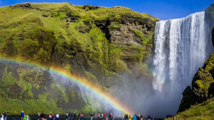From Reykjavik: Private South Coast Tour in Iceland - Dyrhólaey: a seasonal viewpoint above the coast