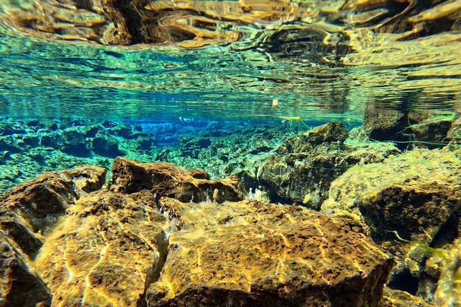 From Reykjavik- Silfra Snorkeling transfer included - Photos, hot drinks, and the finish