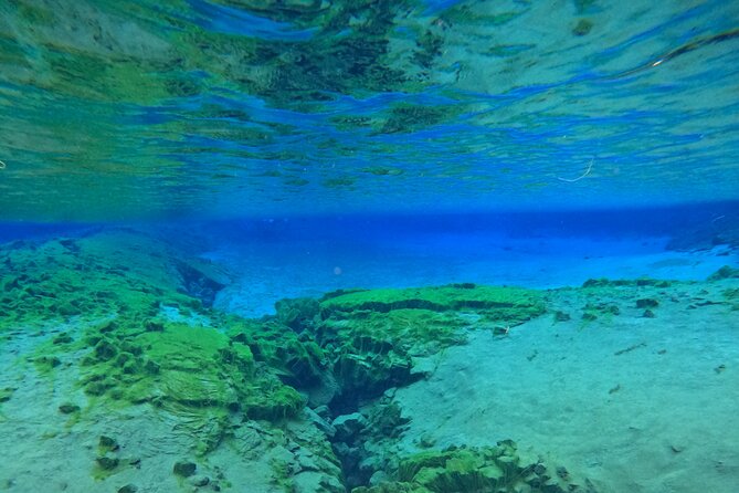 From Reykjavik- Silfra Snorkeling transfer included - Who should book this Silfra outing