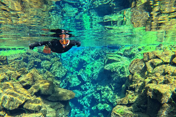 From Reykjavik- Silfra Snorkeling transfer included - The best and hardest parts of the experience