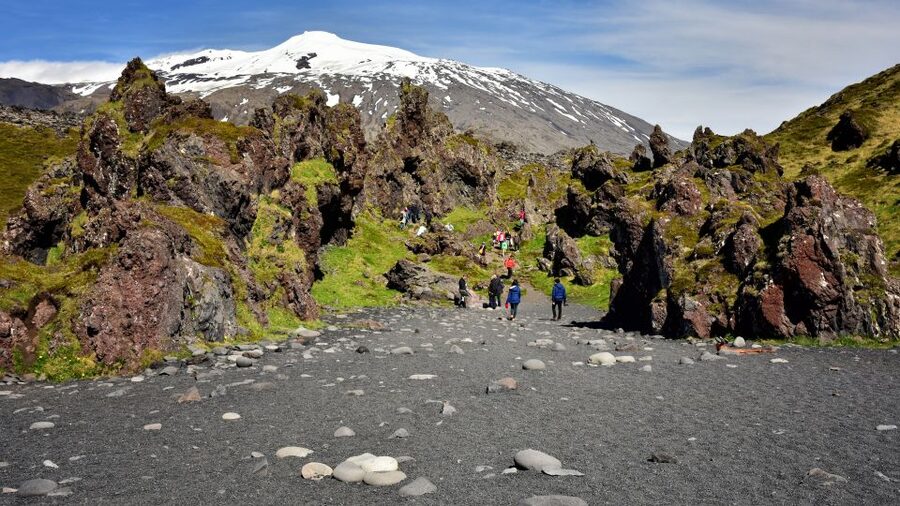 From Reykjavik: Snaefellsnes National Park - Small Group - Ytri Tunga, seals, and the golden beach
