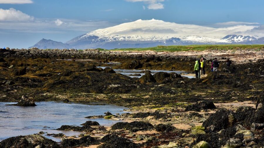 From Reykjavik: Snaefellsnes National Park - Small Group - Kirkjufell and Kirkjufellfoss