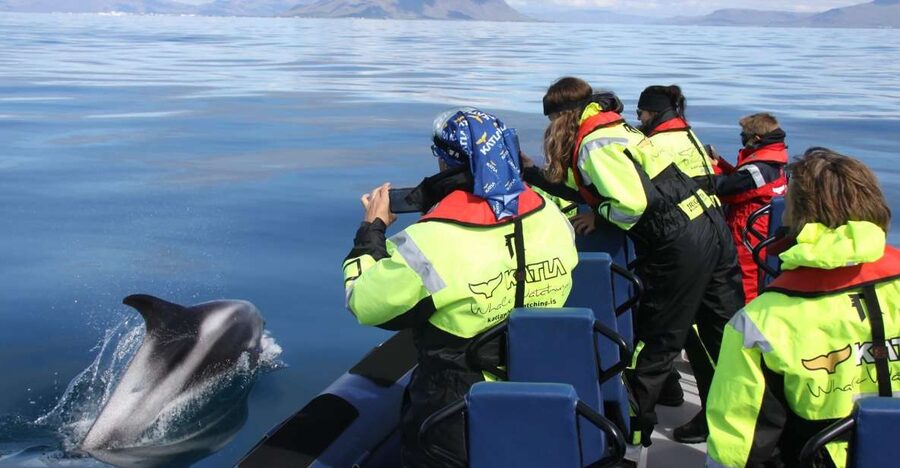 From Reykjavik: Whale Watching Tour by Speedboat - Key points at a glance