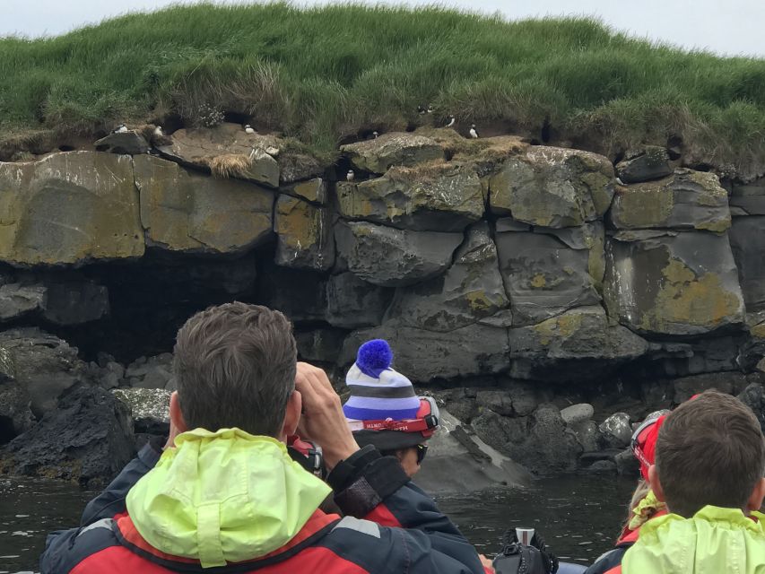 From Reykjavik: Whale Watching Tour by Speedboat - Who should book this RIB outing?