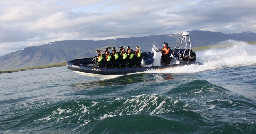 From Reykjavik: Whale Watching Tour by Speedboat - What the $192 price means