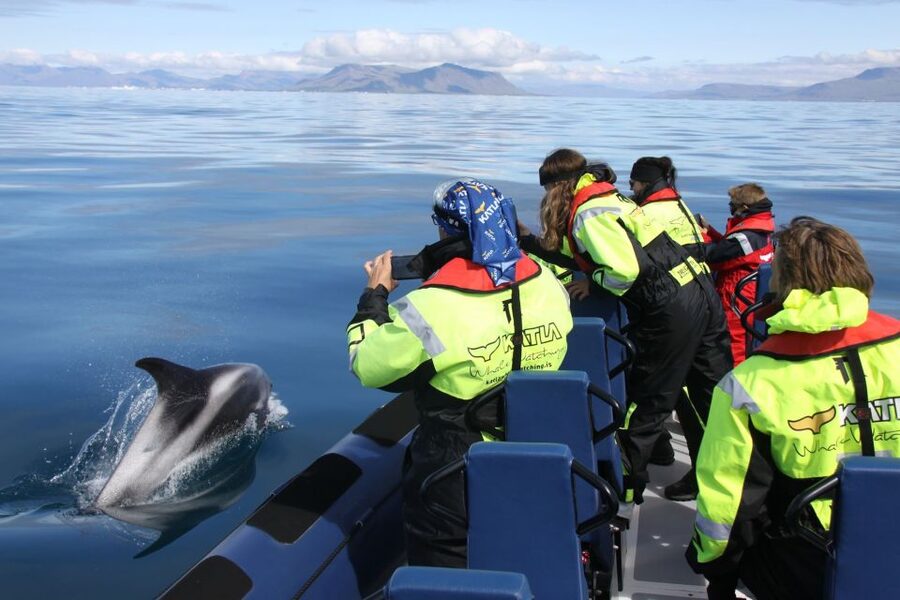 From Reykjavik: Whale Watching Tour by Speedboat - From Ægisgarður to open water