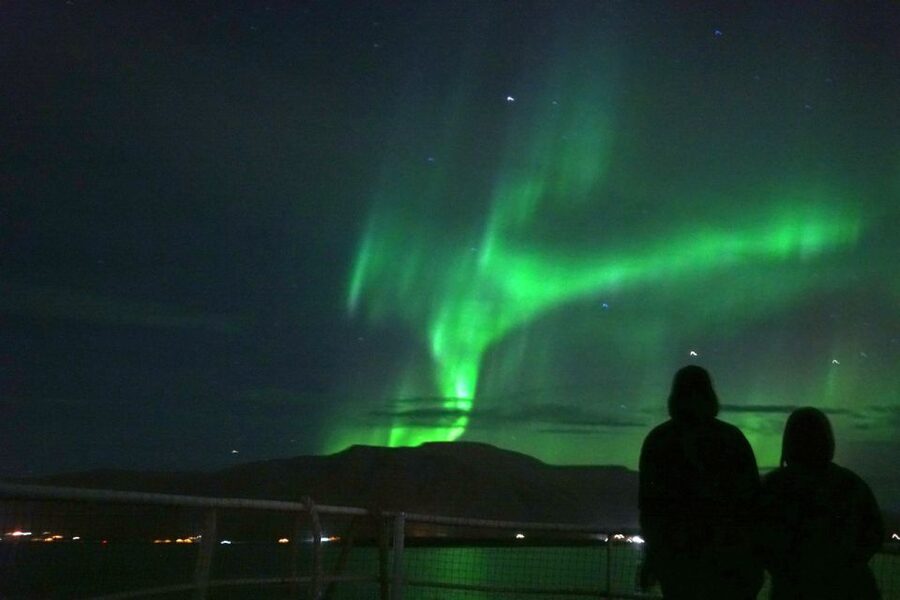 From Reykjavik: Whales and Northern Lights Boat Tour - Returning after dark for the Northern Lights