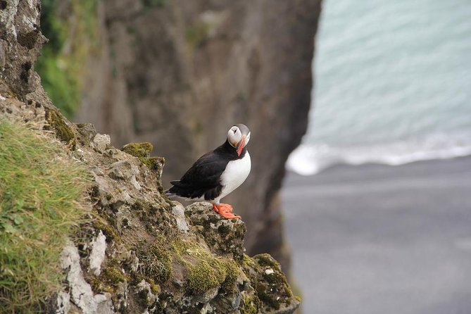 Glacier Lagoon, Diamond Beach, Black Sand Beaches and Waterfalls - Dyrhólaey and the volcanic edge of Iceland