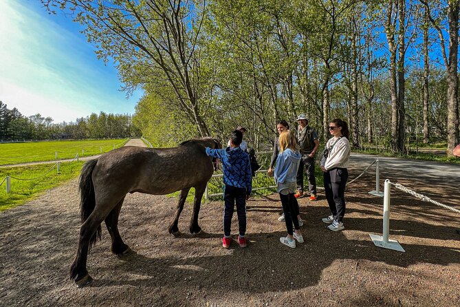 Golden Circle and Lunch at Fridheimar Tomato Farm - with photos - Fridheimar lunch: the tour’s most memorable pause
