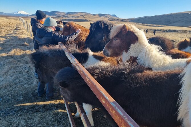 Golden Circle Experience - Private Eco Tour - Laugarvatn and the taste of geothermal bread