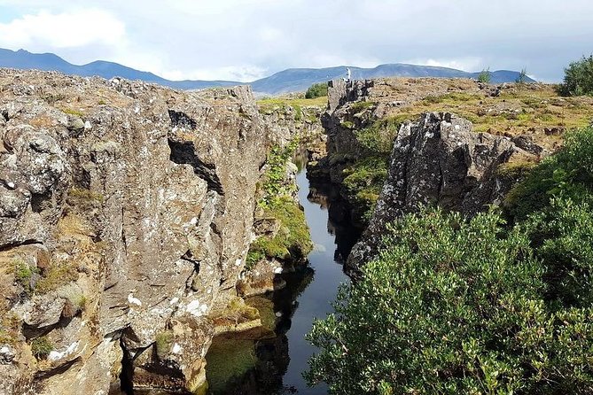 Golden Circle Express. Private Tour from Reykjavik - Booking timing and weather concerns