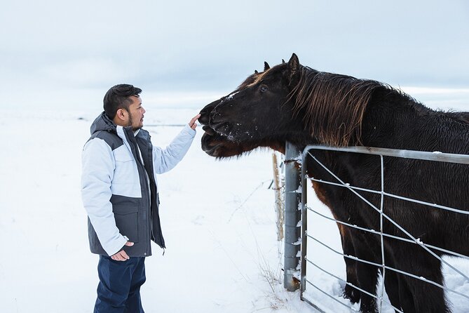 Golden Circle | Private Tour | PRO Photo Package - Why the private format changes the Golden Circle