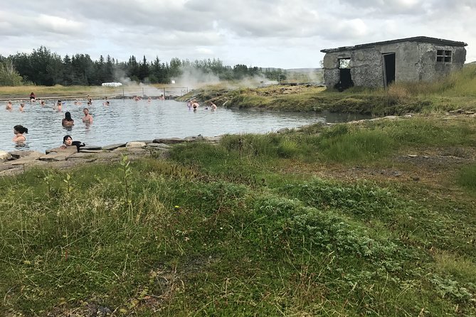 Golden Circle & Secret Lagoon & Friðheimar (lunch included) - PRIVATE TOUR - Friðheimar turns geothermal power into lunch