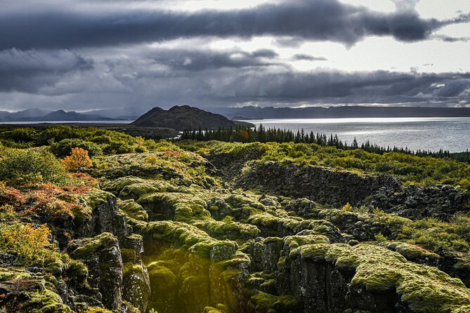 Golden Circle, Secret Lagoon & Friðheimar (Small Group) - What the guides add to the day