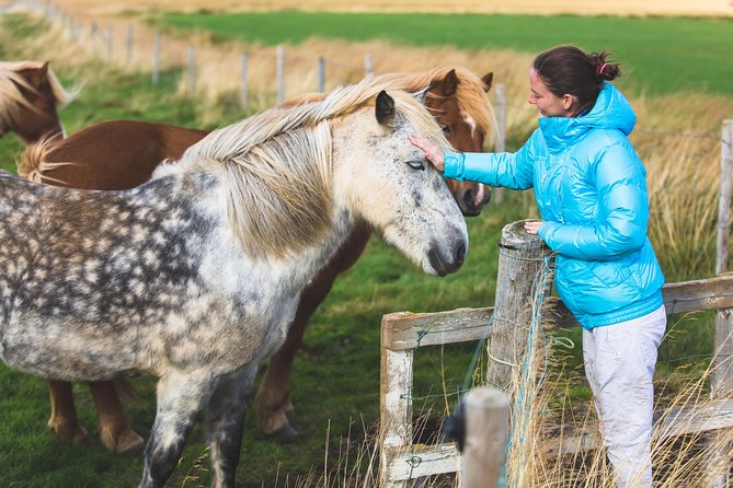 Golden Circle & Viking Horse Experience - Geysir’s steaming ground and sudden bursts
