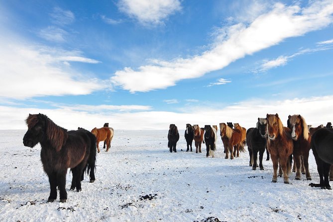 Golden Circle & Viking Horse Experience - Gullfoss, Iceland’s two-level waterfall