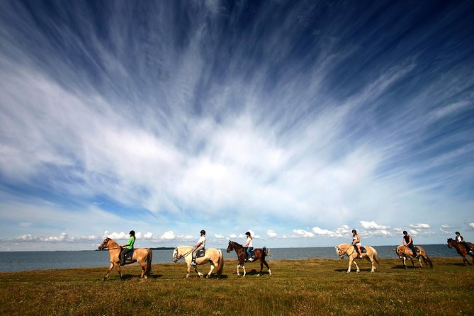 Golden Circle & Viking Horse Experience - Switching from bus to Icelandic horse