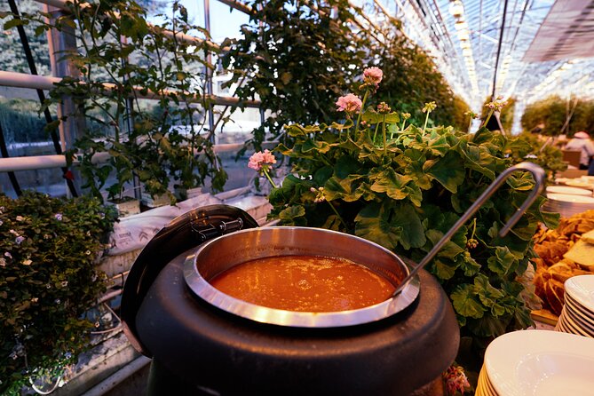 Golden Circle with Tomato Farm Lunch & Secret Lagoon Bathing - Þingvellir National Park and Iceland’s foundations