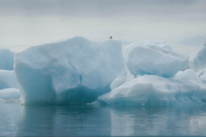 Guided Glacier Lagoon and Diamond Beach Day Trip from Reykjavik - Skógafoss brings the first big waterfall