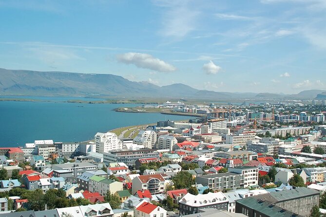 Helicopter tour from Reykjavik: Hengill Area with at site landing - Flying over Reykjavik at the end