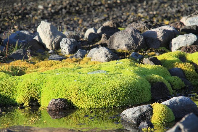 Highlights of Iceland / private guided super Jeep tour - Returning through Hvalfjörður