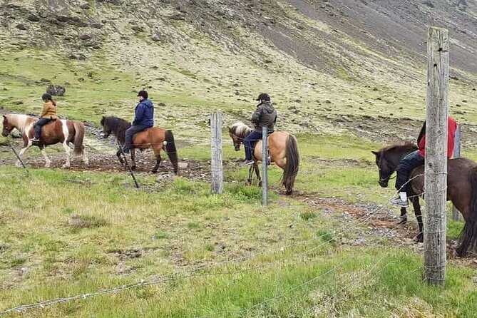 Horse Riding Tour in Reykjadalur (Smoky Valley)-All Riding Levels - Why the Icelandic horse makes this ride special
