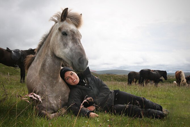 Horseback Riding Tour in Iceland - What the 50-minute ride feels like
