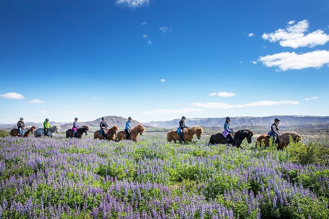 Horseback Riding Tour in Iceland - Guides, horses, and the human side of the outing