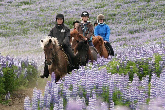 Horseback Riding Tour in Iceland - Equipment and comfort in Icelandic weather