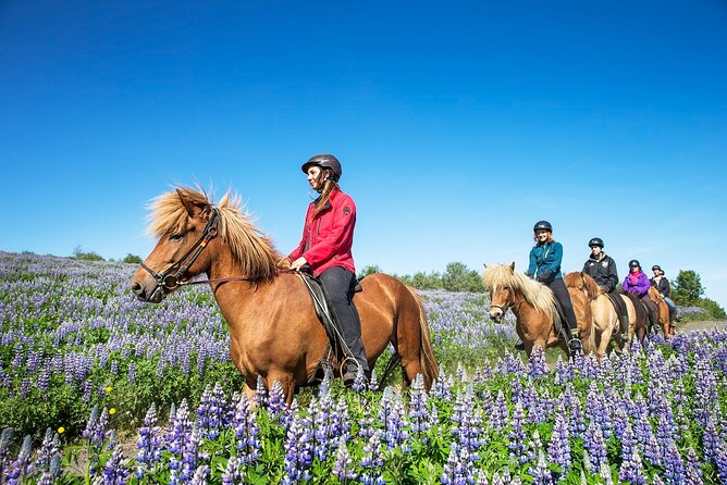 Horseback Riding Tour in Iceland - Group size, timing, and cancellation rules