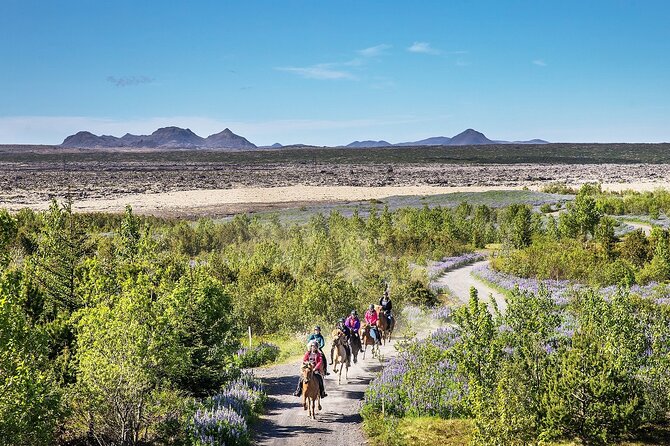 Horseback Riding Tour in Iceland - Following the paths through lava country