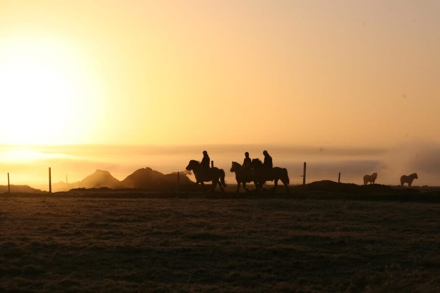 Hveragerdi: The Siggi Horse Riding Tour - Key points to know before booking
