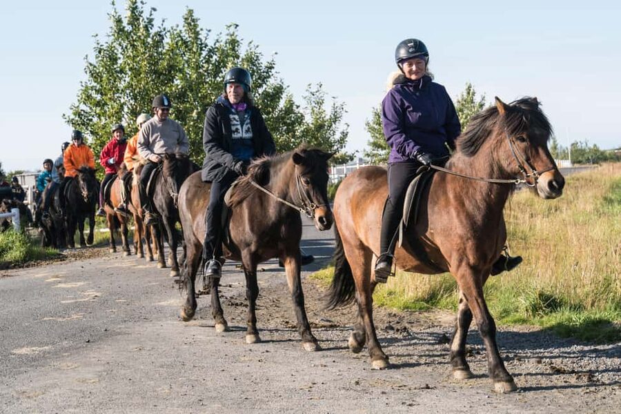 Hveragerdi: The Siggi Horse Riding Tour - What the two-hour itinerary feels like