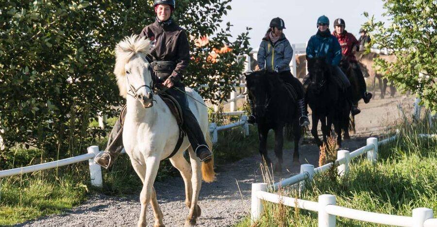 Hveragerdi: The Siggi Horse Riding Tour - The value of the $132 price