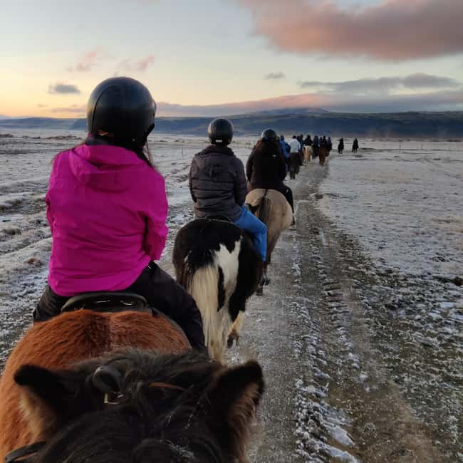 Hveragerdi: The Siggi Horse Riding Tour - Who will enjoy this ride most
