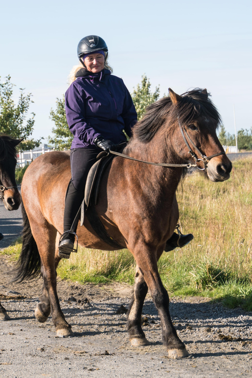 Hveragerdi: The Siggi Horse Riding Tour - Small details that improve the ride