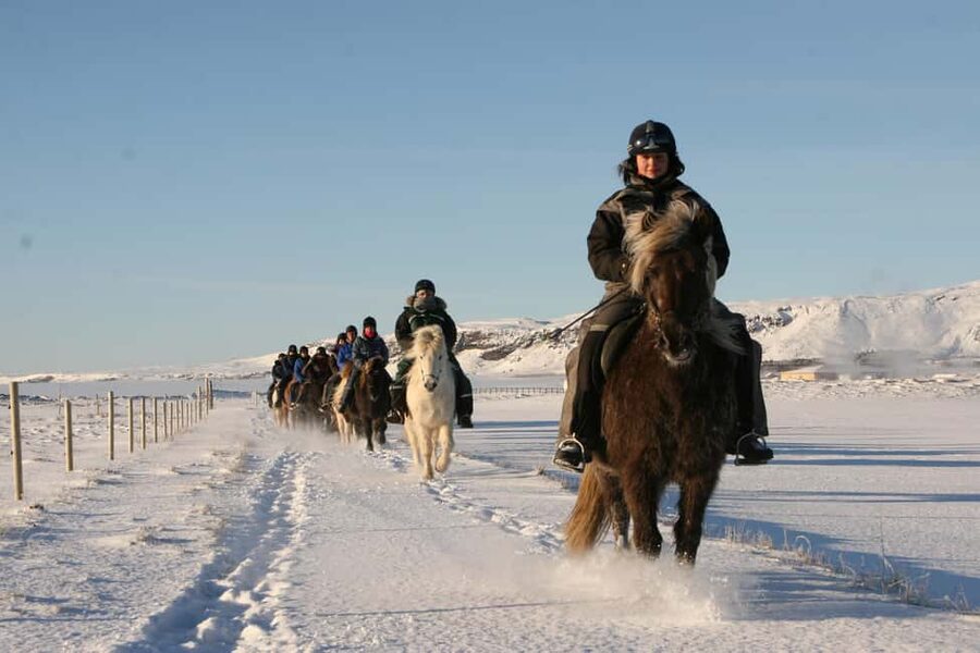 Hveragerdi: The Siggi Horse Riding Tour - Booking flexibility and practical limits