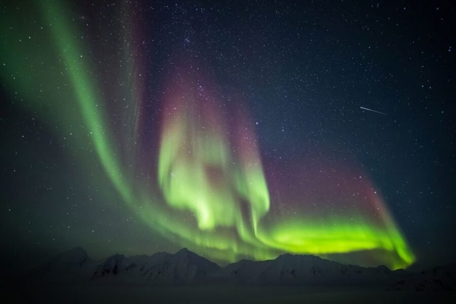 Iceland: South Coast and Northern Lights Tour - How the $173 price measures up