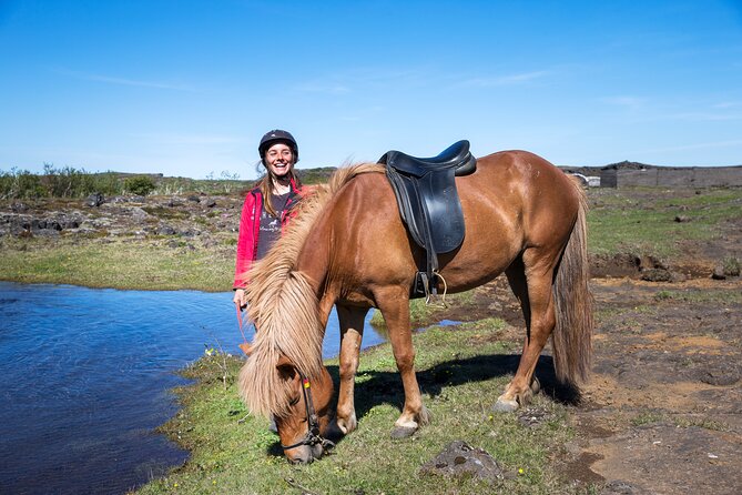 Icelandic Horse Riding and Whale Watching Tour from Reykjavik - From the stables to Reykjavik Old Harbor
