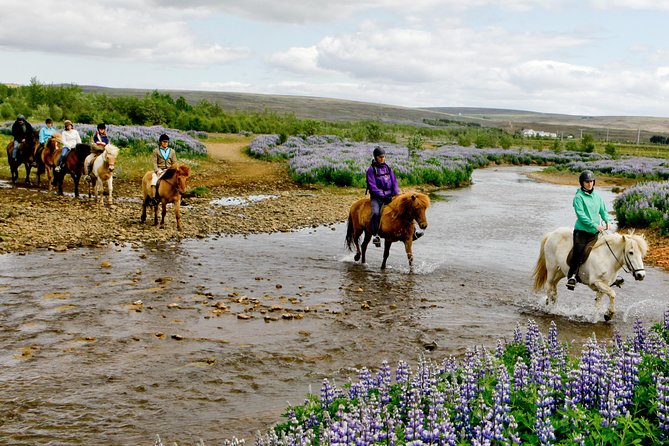 Icelandic Horseback Riding Tour Including Pick Up from Reykjavik - Getting fitted with boots, helmets, and weather gear